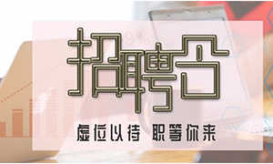 服務(wù)商戶，致力發(fā)展—安徽分公司合肥濱湖店攜手優(yōu)質(zhì)商戶人才招聘會 